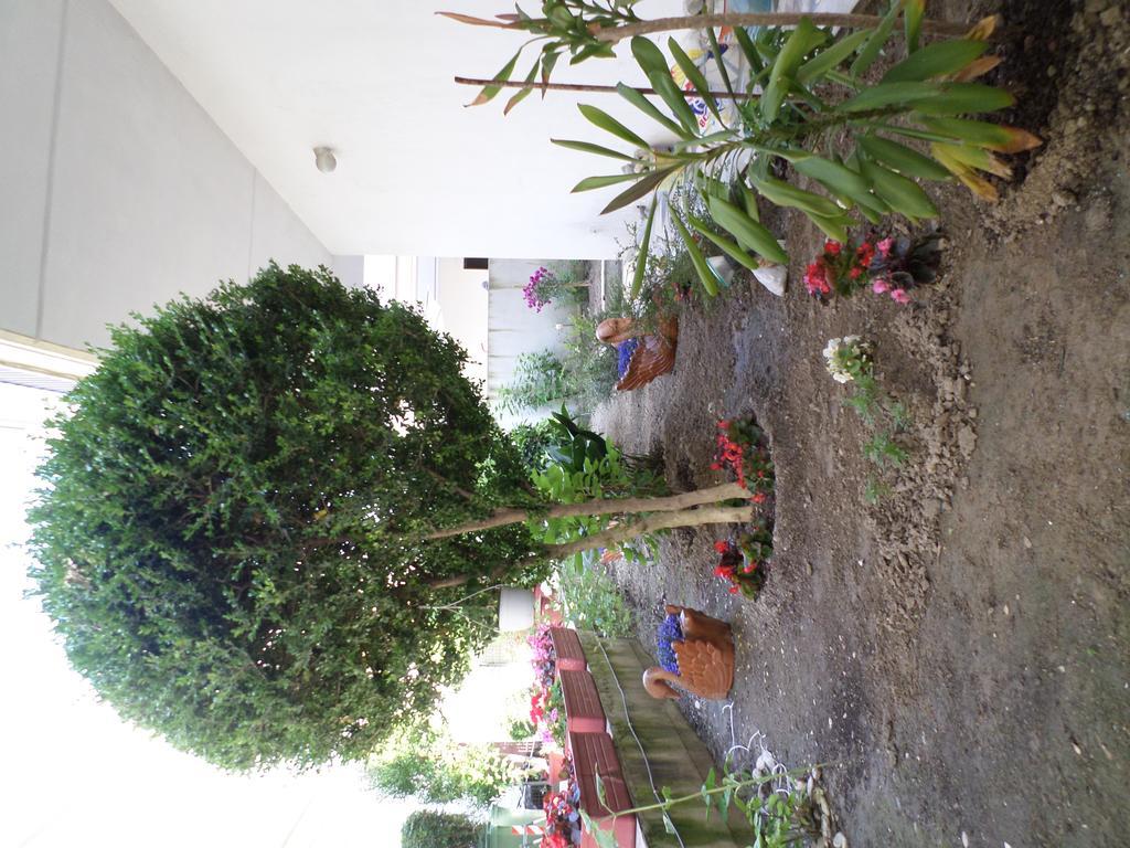 Hotel Dioni Paralia Katerinis Luaran gambar