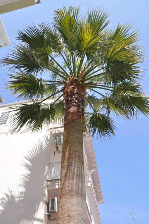 Hotel Dioni Paralia Katerinis Luaran gambar