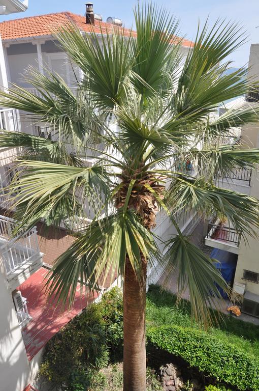 Hotel Dioni Paralia Katerinis Luaran gambar